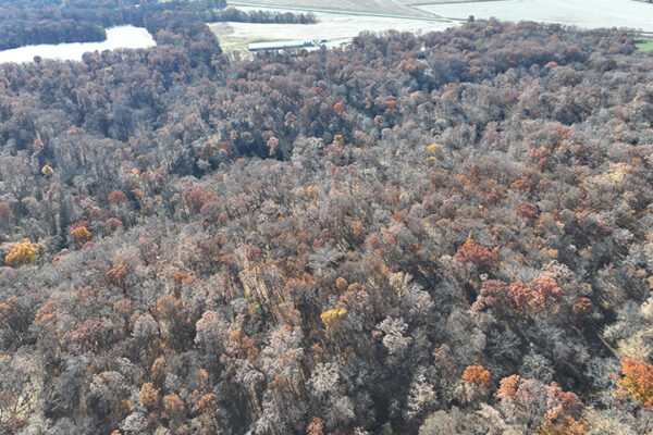 DJI_20240623193950_0010_D