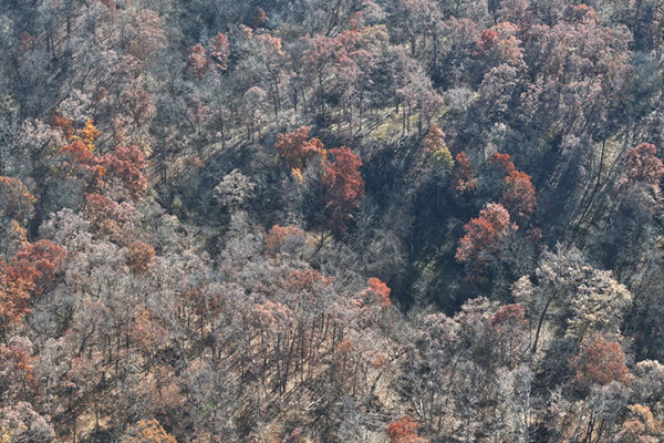 DJI_20240623194023_0011_D