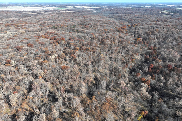 DJI_20240623194126_0012_D