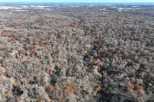 DJI_20240623194129_0013_D