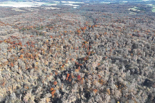 DJI_20240623194339_0016_D