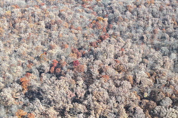 DJI_20240623194419_0017_D