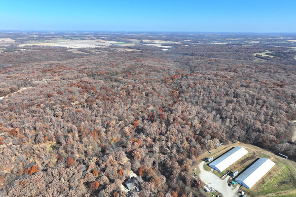 DJI_20240623194436_0018_D