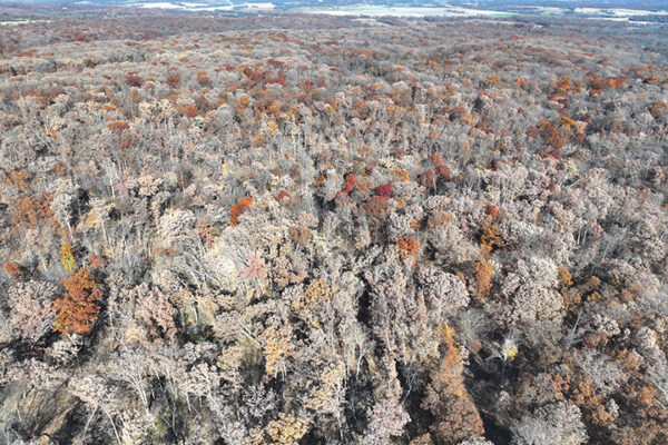 DJI_20240623194515_0019_D