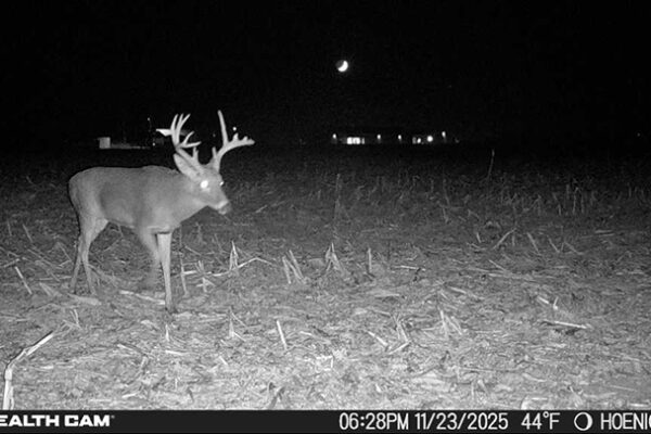 Trail Camera[MP:01][TP:044F][IMEI:863423071308563]