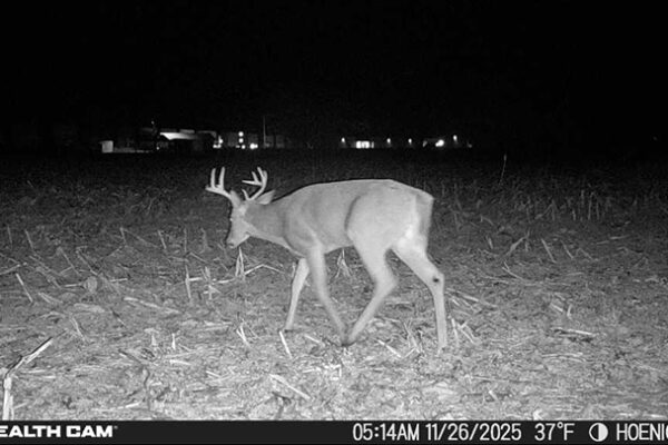 Trail Camera[MP:02][TP:037F][IMEI:863423071308563]