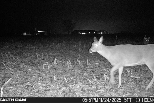 Trail Camera[MP:01][TP:051F][IMEI:863423071308563]