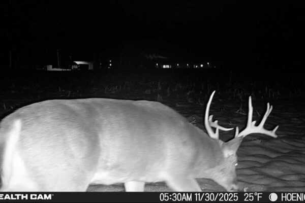 Trail Camera[MP:03][TP:027F][IMEI:863423071308563]