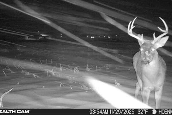 Trail Camera[MP:03][TP:032F][IMEI:863423071308563]