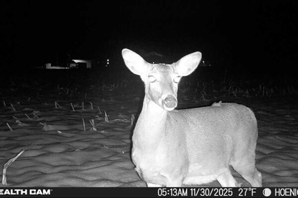 Trail Camera[MP:03][TP:027F][IMEI:863423071308563]