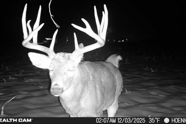 Trail Camera[MP:04][TP:035F][IMEI:863423071308563]