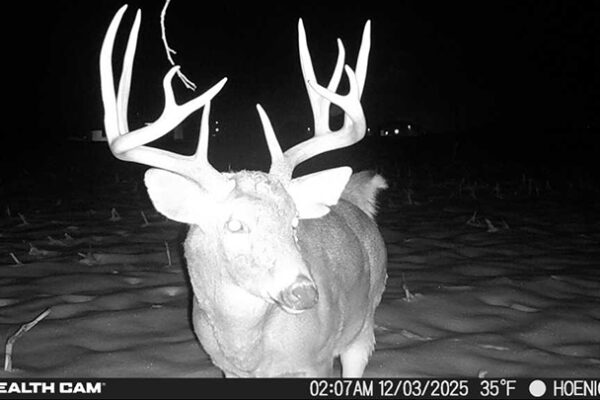 Trail Camera[MP:04][TP:035F][IMEI:863423071308563]