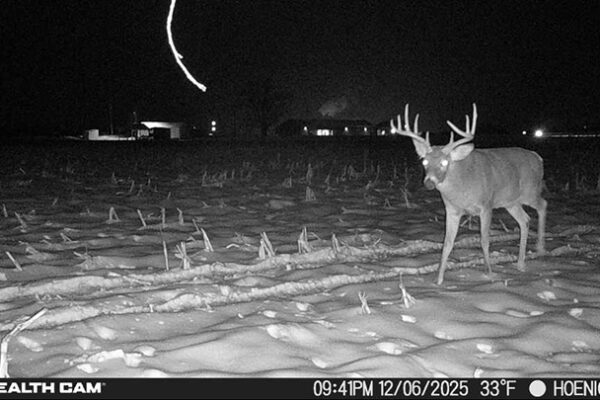 Trail Camera[MP:04][TP:033F][IMEI:863423071308563]