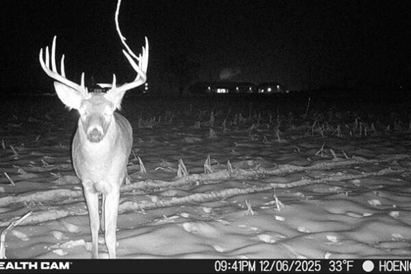 Trail Camera[MP:04][TP:033F][IMEI:863423071308563]