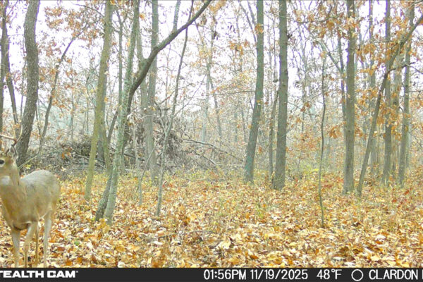 Screenshot 2026-01-08 at 2.02