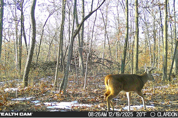 Screenshot 2026-01-08 at 2.03