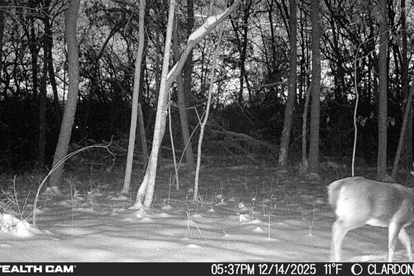 Screenshot 2026-01-08 at 2.035