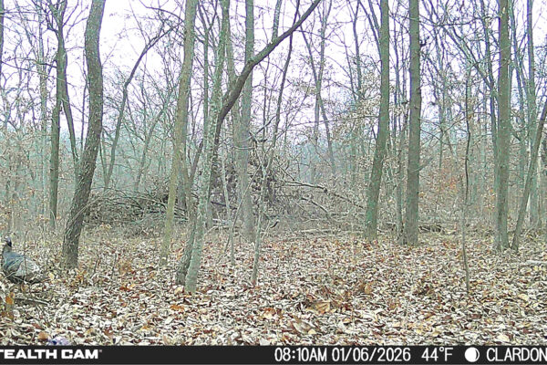 Screenshot 2026-01-08 at 2.04