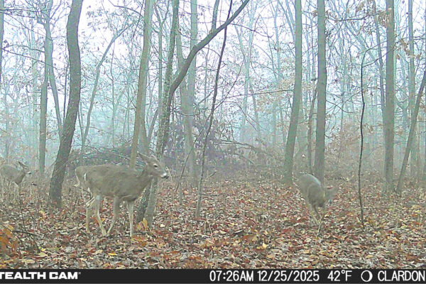 Screenshot 2026-01-08 at 2.043