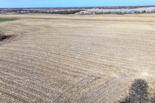 DJI_20240623204104_0036_D