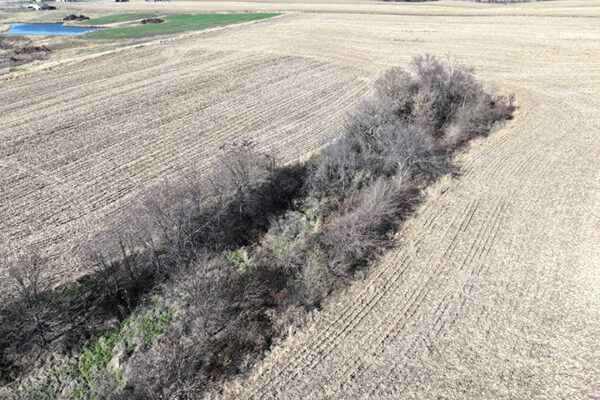 DJI_20240623204210_0038_D