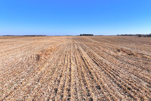 DJI_20240623204725_0042_D