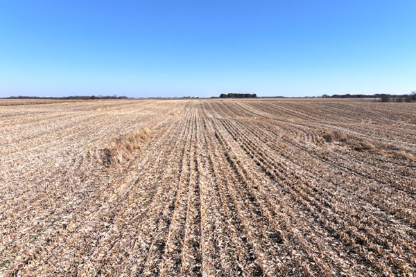 DJI_20240623204727_0043_D