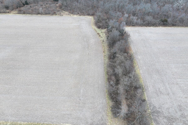 DJI_20240811182812_0012_D