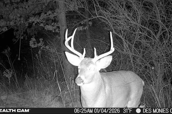 Trail Camera[MP:04][TP:031F][IMEI:863423071308563]