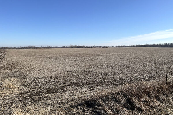 01.Photo Jan 07 2026, 1 21 02 PM