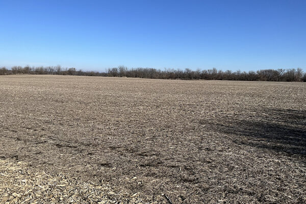 01.Photo Jan 07 2026, 1 38 15 PM