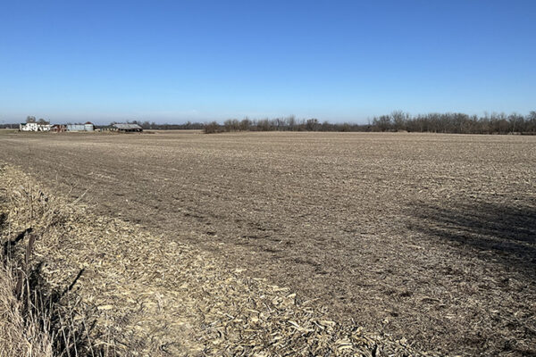 02.Photo Jan 07 2026, 1 37 55 PM