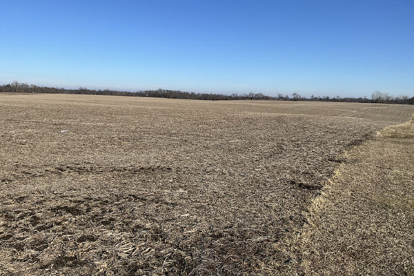 05.Photo Jan 07 2026, 1 24 37 PM