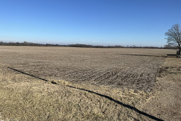 06.Photo Jan 07 2026, 1 23 00 PM