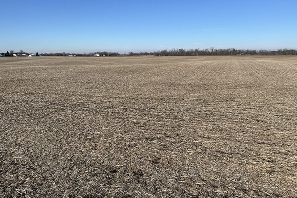 08.Photo Jan 07 2026, 1 29 58 PM