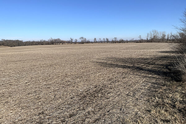 09.Photo Jan 07 2026, 1 29 54 PM