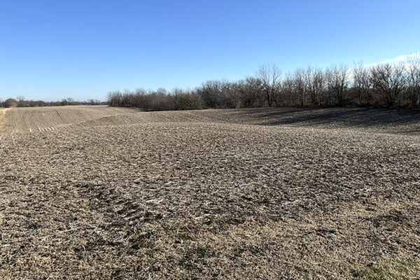 09.Photo Jan 07 2026, 1 33 17 PM