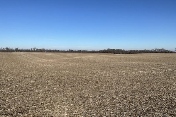 10.Photo Jan 07 2026, 1 28 30 PM