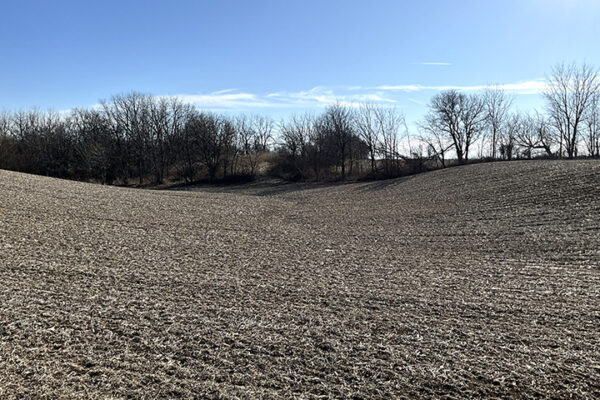 10.Photo Jan 07 2026, 1 32 25 PM