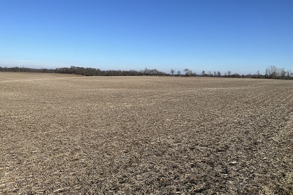 11.Photo Jan 07 2026, 1 28 25 PM