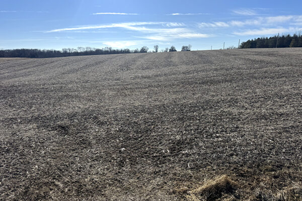 Photo Jan 12 2026, 11 58 12 AM