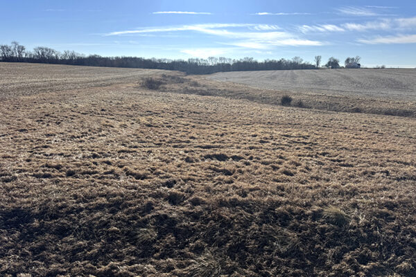 Photo Jan 12 2026, 12 00 36 PM