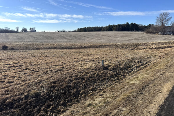 Photo Jan 12 2026, 12 00 39 PM