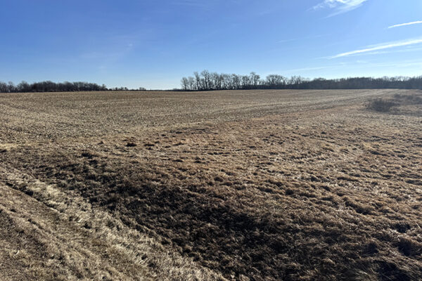 Photo Jan 12 2026, 12 00 43 PM