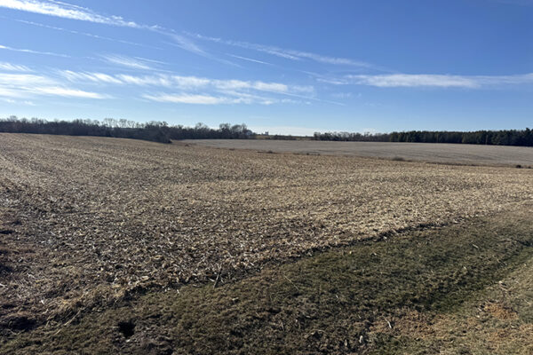 Photo Jan 12 2026, 12 01 51 PM