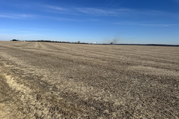 Photo Jan 12 2026, 12 06 39 PM