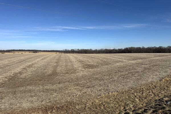 Photo Jan 12 2026, 12 18 29 PM