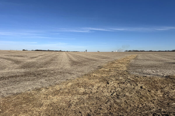 Photo Jan 12 2026, 12 22 31 PM