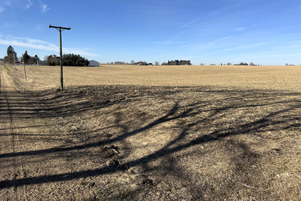 Photo Jan 12 2026, 12 24 49 PM