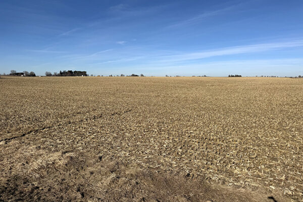 Photo Jan 12 2026, 12 25 32 PM